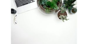 Blog Blog