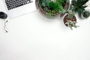 Blog Blog